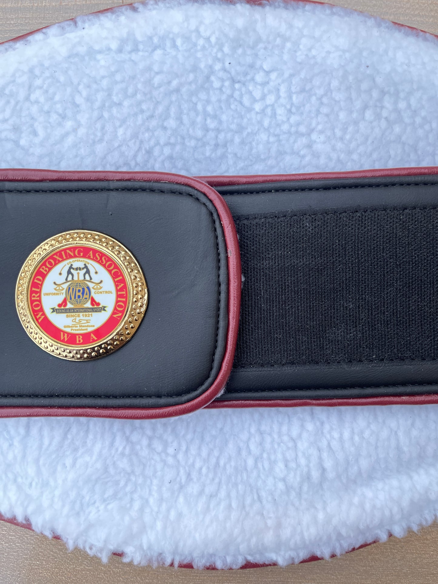 WBA WORLD TITLE REPLICA BELT – DESIGNED FOR PROFESSIONAL PRESENTATIONS