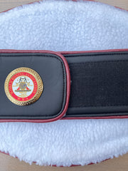 WBA WORLD TITLE REPLICA BELT – DESIGNED FOR PROFESSIONAL PRESENTATIONS